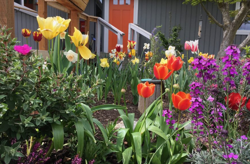 From Seeds to Harvest: Everything You Need to Grow Your Garden of Generosity